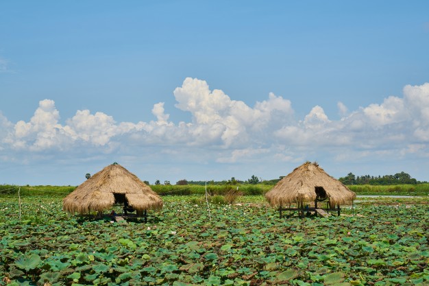 Invest land in Cambodia