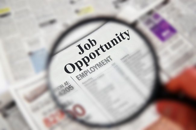 Increase Job Opportunity