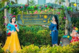 Kampot Thansur Resort is increasing its attractiveness with the first large sunflower garden
