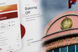 Cambodia’s digital currency reaches nearly half the population