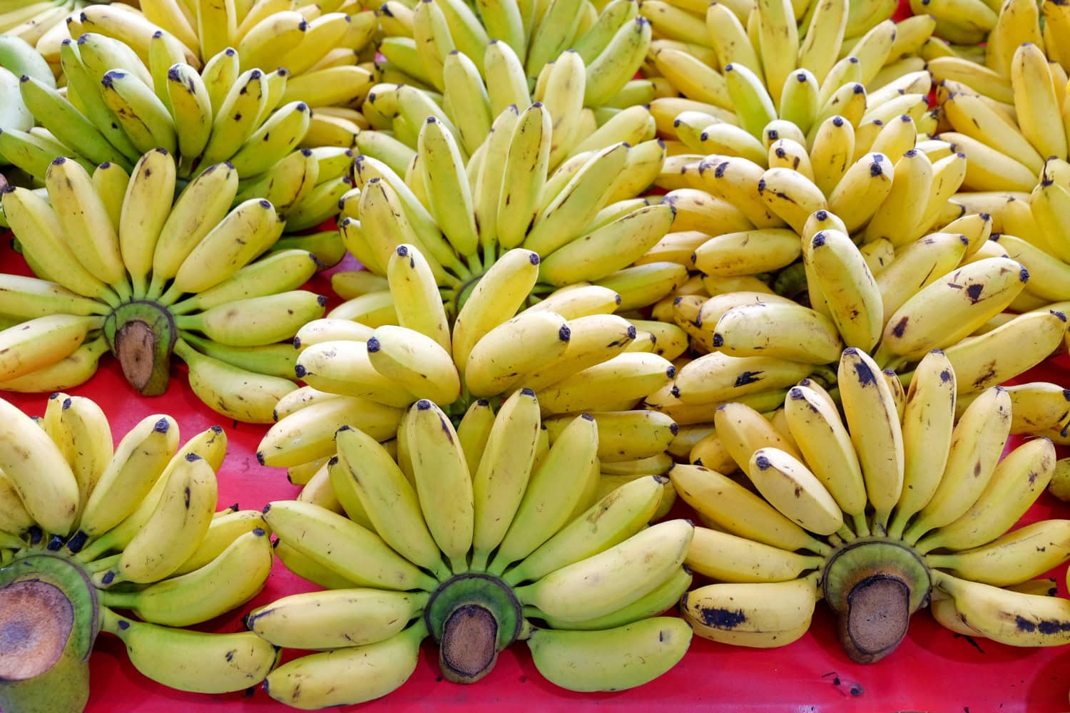 Chicken Egg Banana in Cambodia