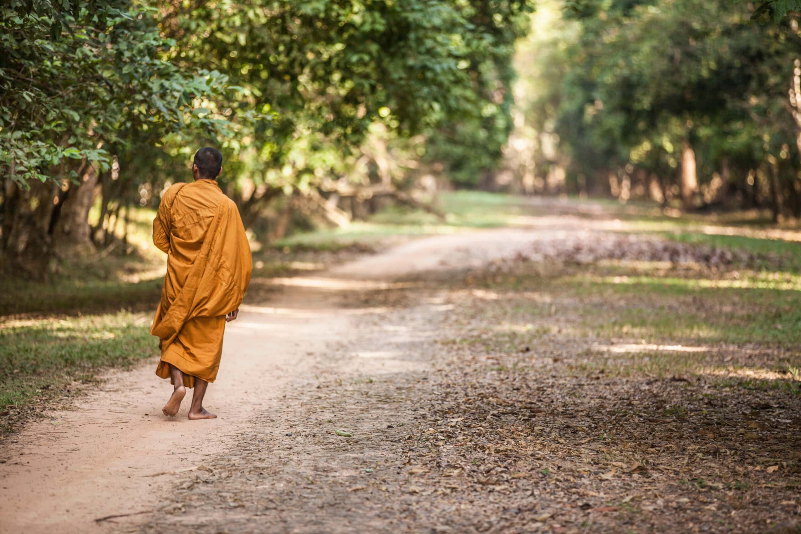 Young Buddhist monk walking in Angkor Wat, Siem Reap, Cambodia